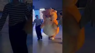Наш Котик медленно, но верно движется на площадку! Съемки в разгаре 🐱 шоу Маска