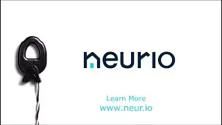 Neurio Universal CTs