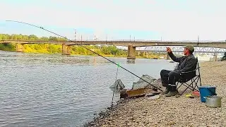 По Уловистым местам . Рыбалка  ниже Волховской ГЭС .Район трех мостов . Рыбалка на Фидер .