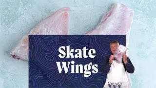 Skate Wings