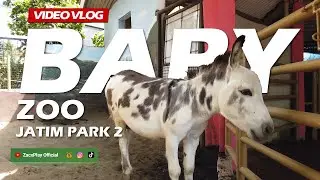 BABY ZOO JATIMPARK 2 KOTA BATU MALANG