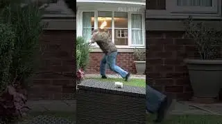 when you catch a fail instead of a fox on camera 😂