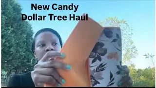 Dollar Tree Shopping | Plus Hauling New Products
