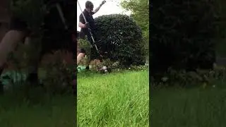 Oddly Satisfying Berberis Ball Trim #Shorts