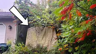 STUNNED we FOUND THIS BURIED under this OVERGROWN Yard, I ALMOST DIED