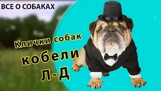 Клички собак. Кобели. Л-Д.