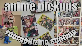anime pickups & reorganizing shelves 