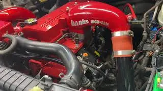 Quadzilla Adrenaline install and BD diesel stealth cover for Cummins vp44 injection pump