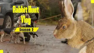Rabbit Hunt Vlog  (Season 2 Ep.2)