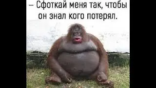 | KB | Угар | Унижение | Поражение | ХиТрЫй | УнИзИл |