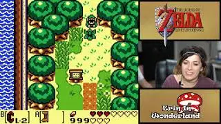 Ep.9 Bird Key Playthrough | Link's Awakening | Erin in Wonderland
