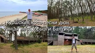 Куршская Коса 2024: Куршский залив/Высота Мюллера/Озеро Чайка/Танцующий лес/Высота Эфа/Балтика
