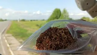 ОБЗОР ТАБАКА ДЛЯ САМОКРУТОК С САЙТА развестабака.рф | ОСТАНОВИЛ ДАЛЬНОБОЙЩИКА,ЧТОБЫ СНЯТЬ РОЛИК😱😱😱
