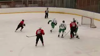 Московские соколы 2 vs МИР  11.01.2019