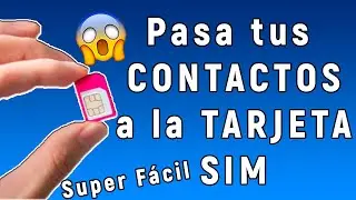 How to transfer my contacts to the SIM card