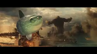 sunfish vs kong