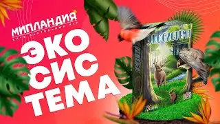 Настольная игра «Экосистема», правила