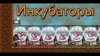 Инкубаторы.Гайд Oxygen Not included