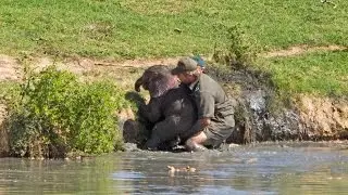 Incredible Baby Elephant Rescue [Pics]