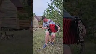 Синева! С днём ВДВ! 💪