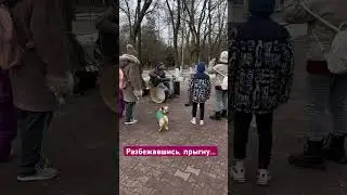 КиШ повсюду 🫨 #прыгнусоскалы #лесник #русскийрок #прикол #корольишут #короткиевидео #shorts