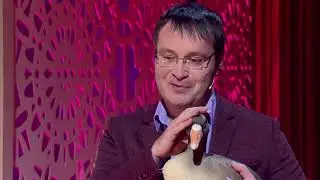 Мы подружимся с вашей мохнаткой Давай поженимся