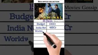 Animal Movie Box Office Collection