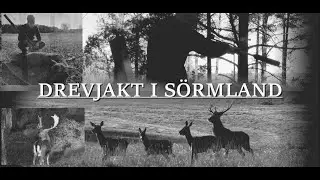 Drevjakt i Sörmland