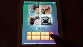 Что за слово? - 4 фотки 1 слово - ответы 2-20