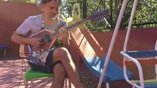 Guitarra eléctrica 12 cuerdas presentación