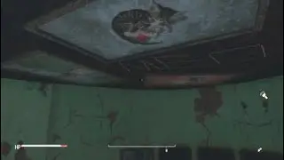 Fallout 4_hello kitty?