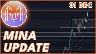 MINA BULLRUN UPDATE!🚨 | MINA PRICE PREDICTION & NEWS 2023!