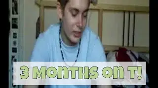 3 Months on Testosterone! [FTM]
