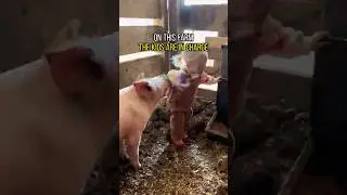 On This Farm, The Kids Run Everything 😂 