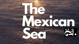 Rho Original Jams - THE MEXICAN SEA