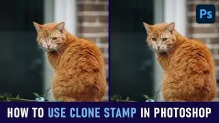 How to use clone stamp tool in photoshop