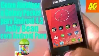 Como Atualizar o Galaxy Pocket para Android 4.3 Jelly Bean [Como Android Puro]