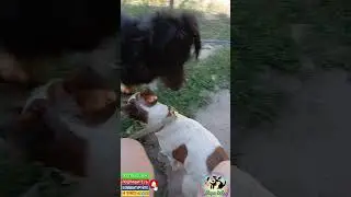 Наглая мадам