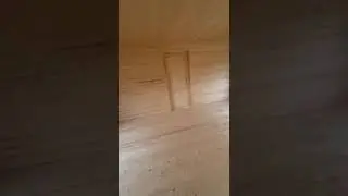 11 июня 2024 г.