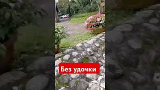 удочка за 10 тысяч и приманки на 5 тысяч и без рыбы