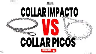 Collar de Ahorque vs. Collar de Picos: ¿Cuál es Mejor para el Adiestramiento Canino?