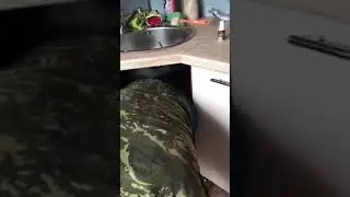 я залез в шкафчик