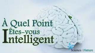 ✔ Test d'Intelligence -- À Quel Point Êtes vous Intelligent ?