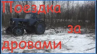 МТЗ 50 поездка за дровами//Жизнь в деревне//Деревня