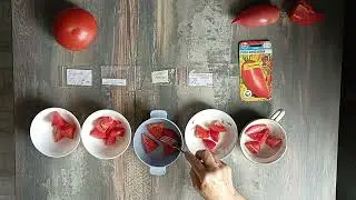 Дегустация 2024   №10