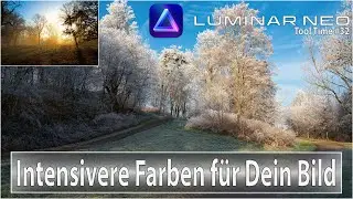 Color Harmony in Luminar Neo | The Secret Filter for Pro Looks? Tutorial #33