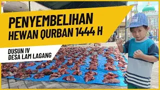 PENYEMBELIHAN HEWAN QURBAN TAHUN 1444 H Gampong Lamlagang
