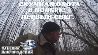 СКУЧНАЯ ОХОТА В НОЯБРЕ!ПЕРВЫЙ СНЕГ.