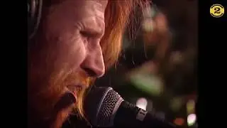 Screaming Trees - All I Know (Live on 2 Meter Sessions)
