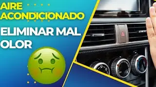¿Cómo eliminar el mal olor del aire acondicionado de mi auto?